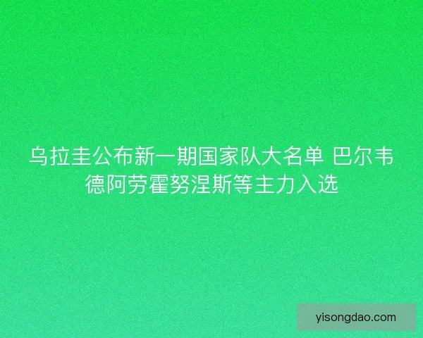 乌拉圭公布新一期国家队大名单 巴尔韦德阿劳霍努涅斯等主力入选