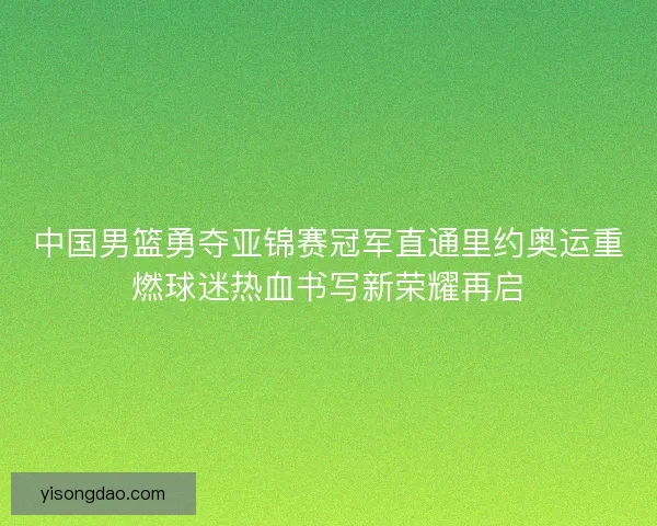 中国男篮勇夺亚锦赛冠军直通里约奥运重燃球迷热血书写新荣耀再启